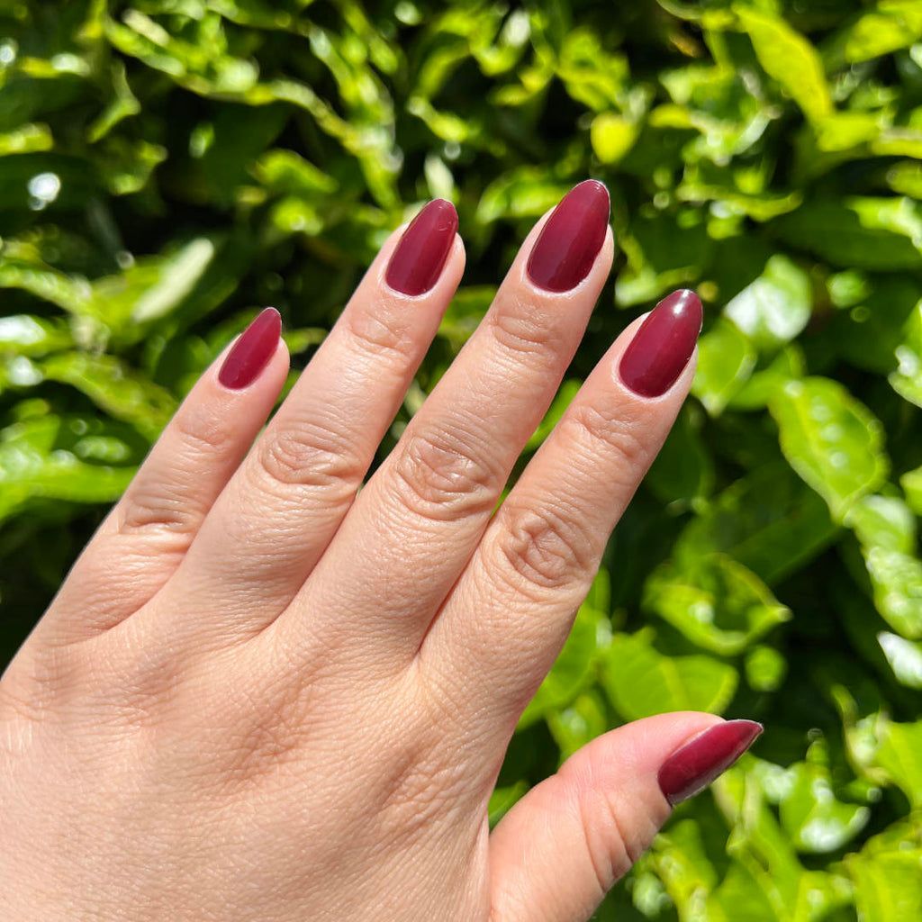 Medium Almond High Gloss Burgundy Nails Medium Almond High Gloss Burgundy Nails