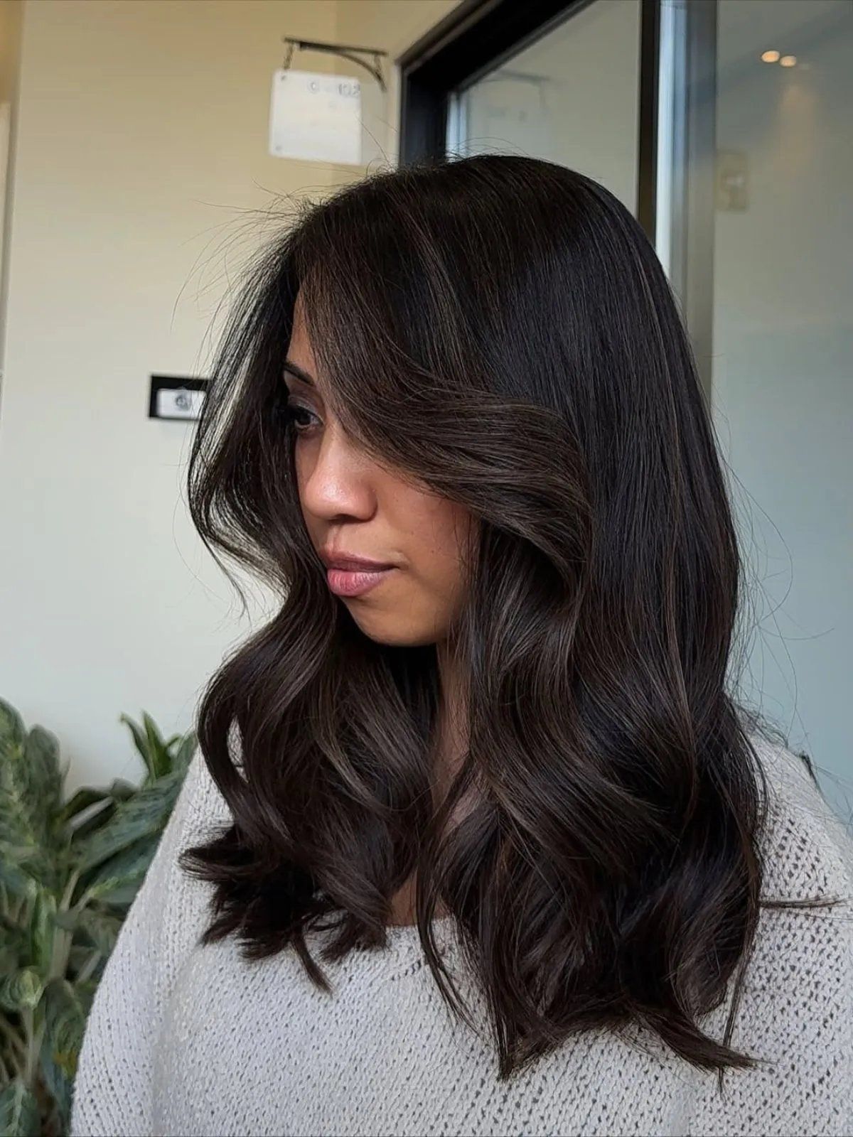 Dark Brown With Face-Framing Caramel — Fall to Winter Hair Colors