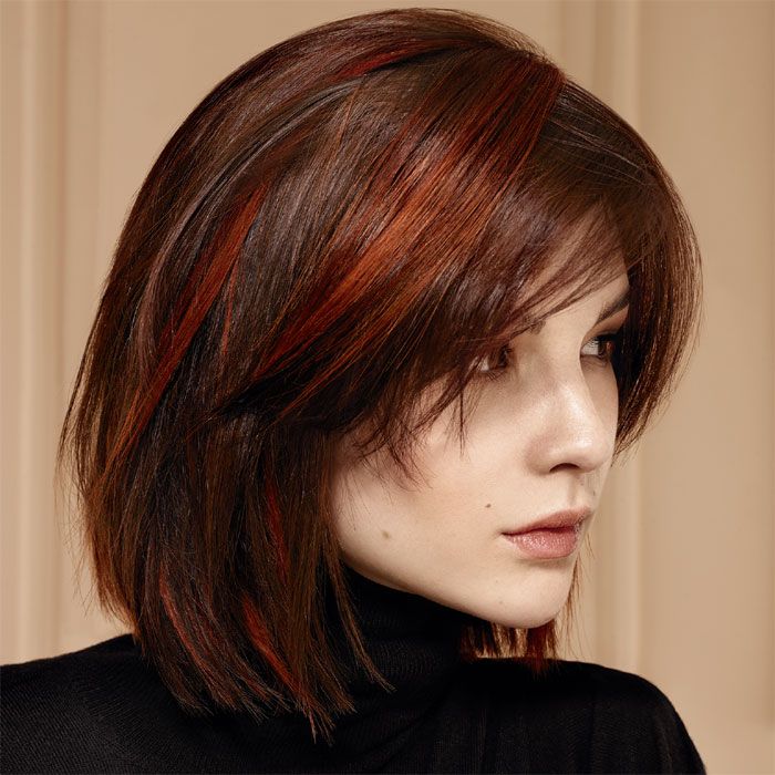 Chin-Length Visual Idea Chin-Length Visual Idea β Winter Haircuts for Women
