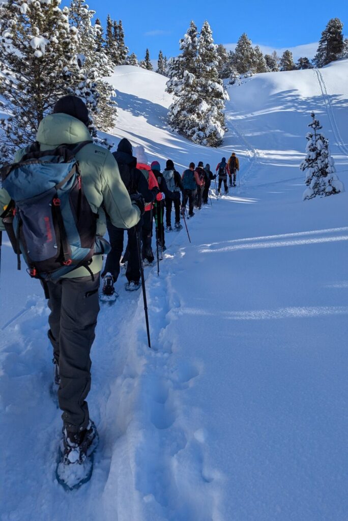 Green Hooded Jacket and Grey Trousers for Trail Exploration — Winter Hiking Outfits