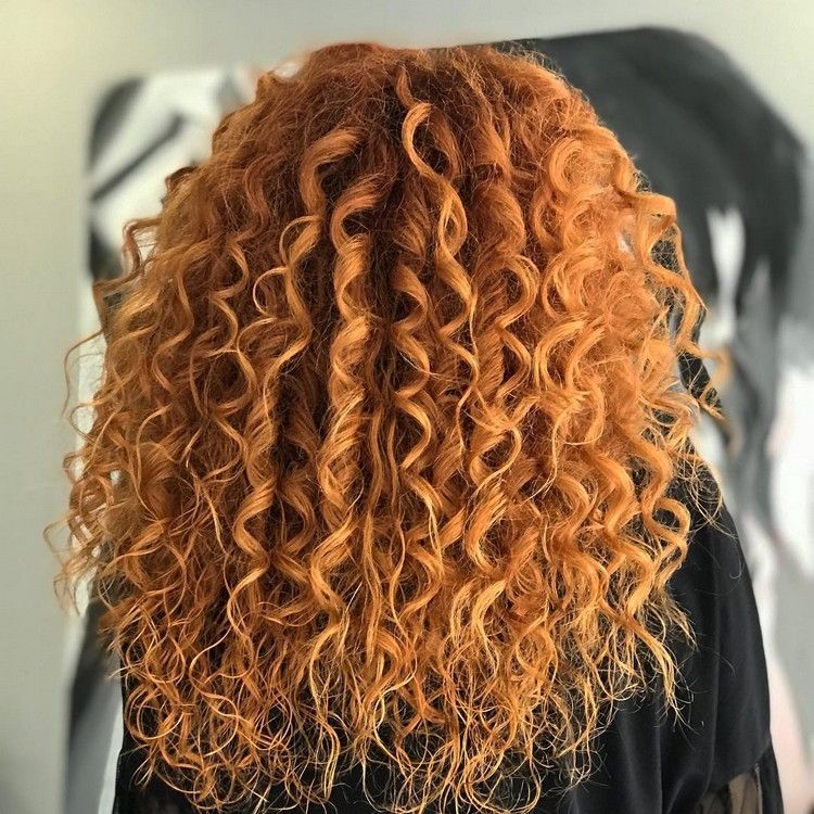Layers Visual Idea — Winter Hair Colors for Curly Hair