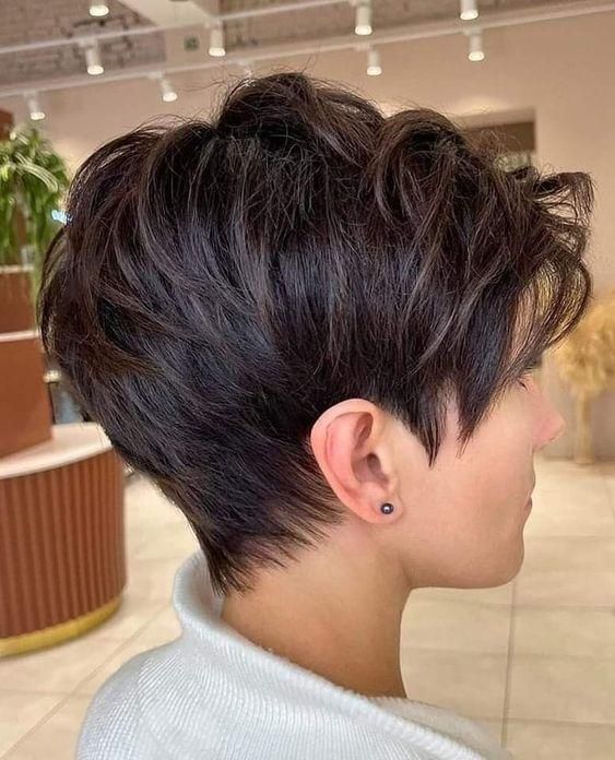 Layered Dark Brown Pixie Back View — Winter Hairstyles for Short Hair