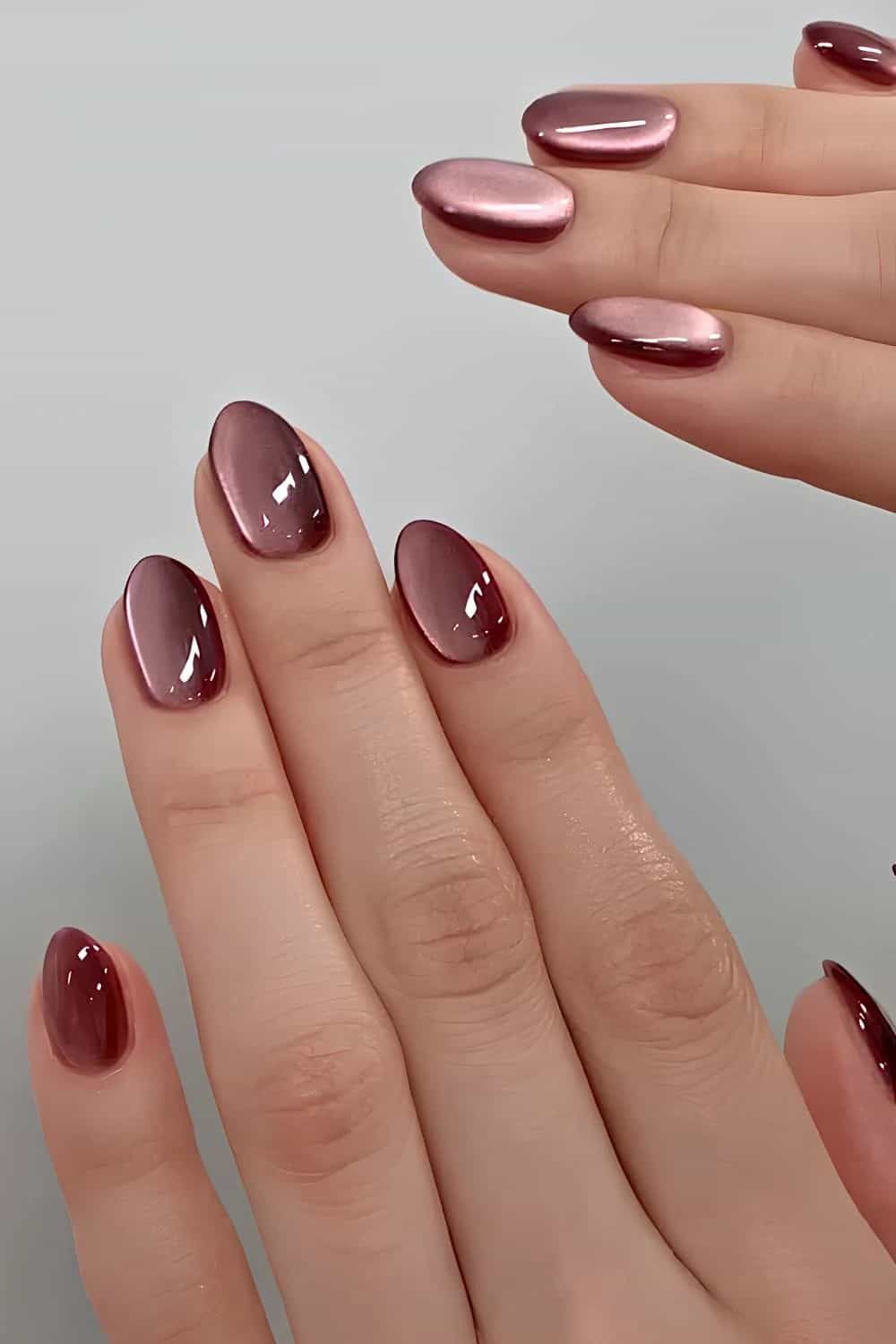 Cat-Eye Glossy Visual Idea Cat-Eye Glossy Visual Idea โ Fall to Winter Nails