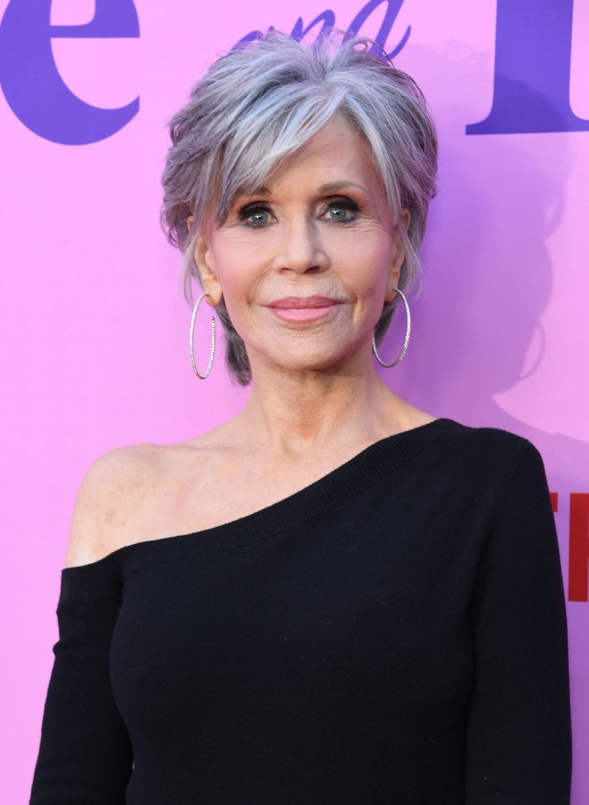 Ear Visual Idea Ear Visual Idea β Winter Haircuts for Gray Hair