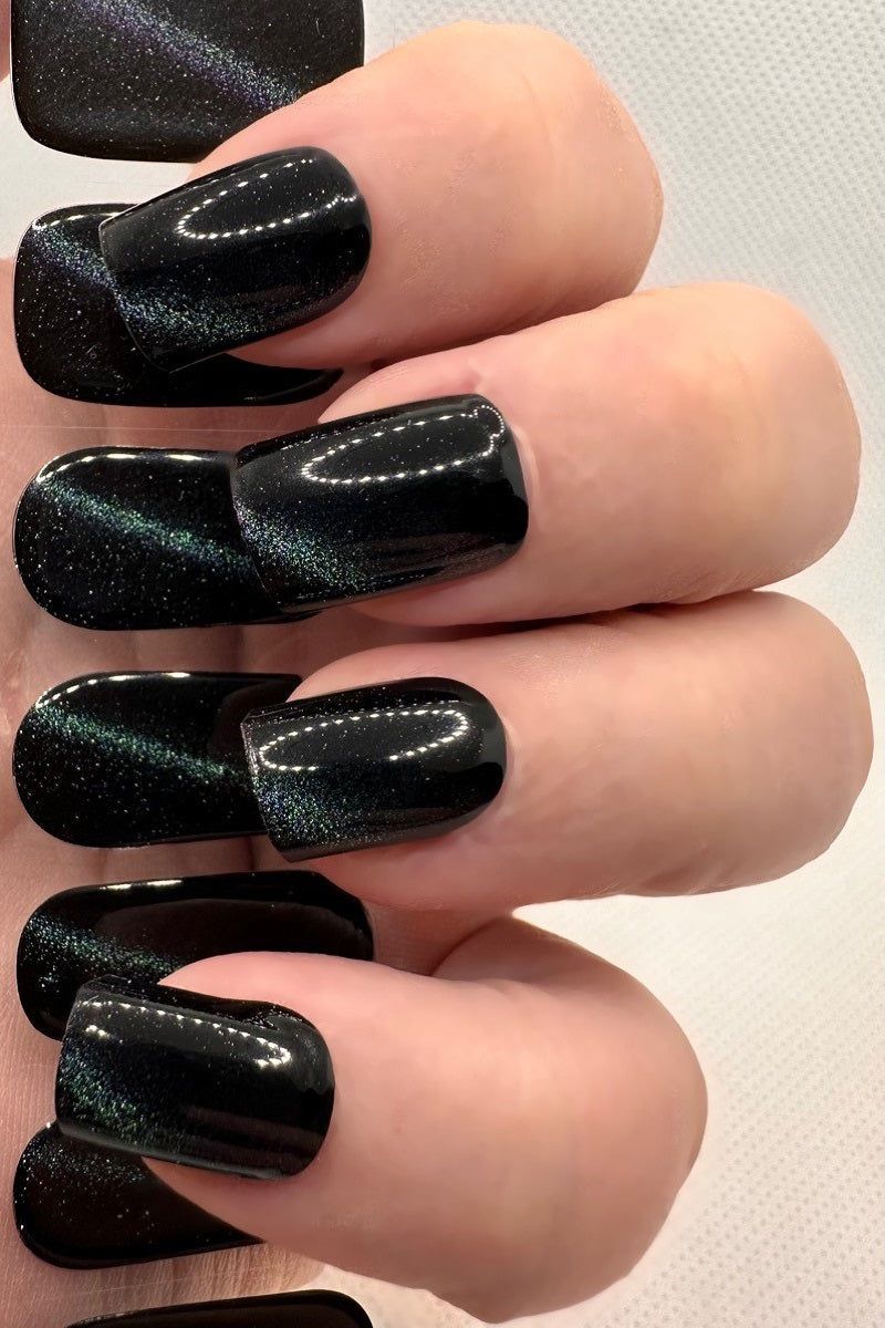 Shimmer Cat Eye Visual Idea — Winter Black Nails