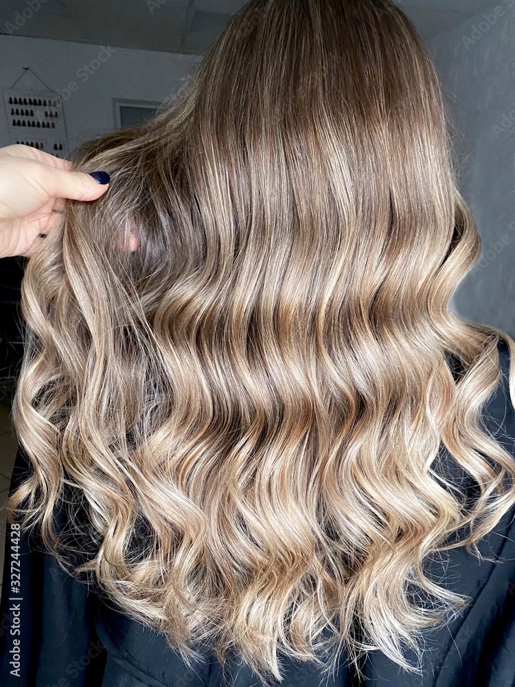 Back View Visual Idea Back View Visual Idea β Winter Balayage