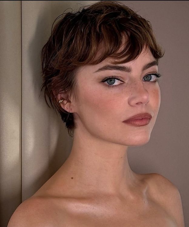 Ear Dark Brown Pixie With Rounded Bangs Ear Dark Brown Pixie With Rounded Bangs β Winter Pixie Haircuts