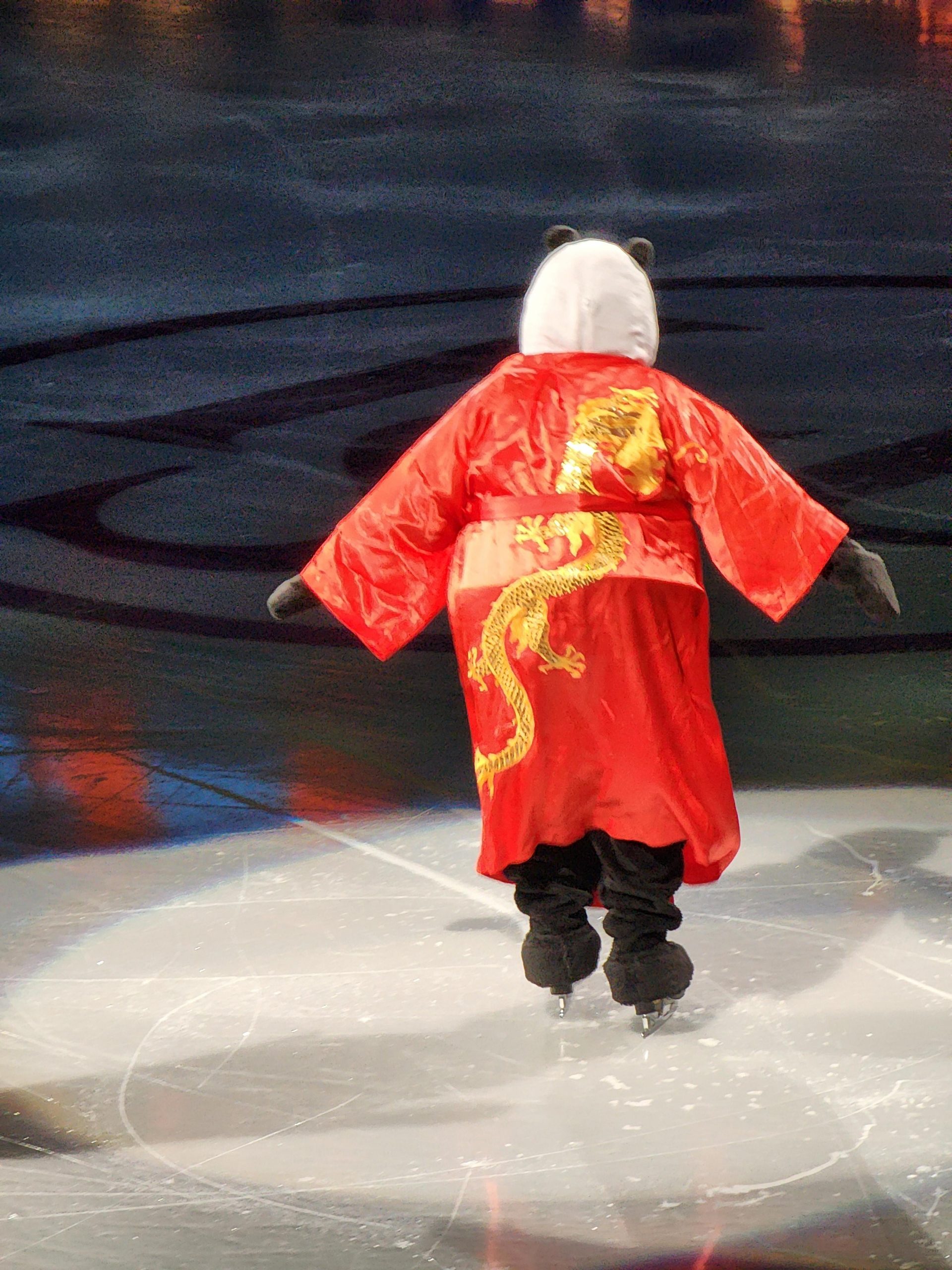Dragon-Embroidered Robe for a Dramatic Skating Performance Dragon-Embroidered Robe for a Dramatic Skating Performance β Ice Skating Outfits