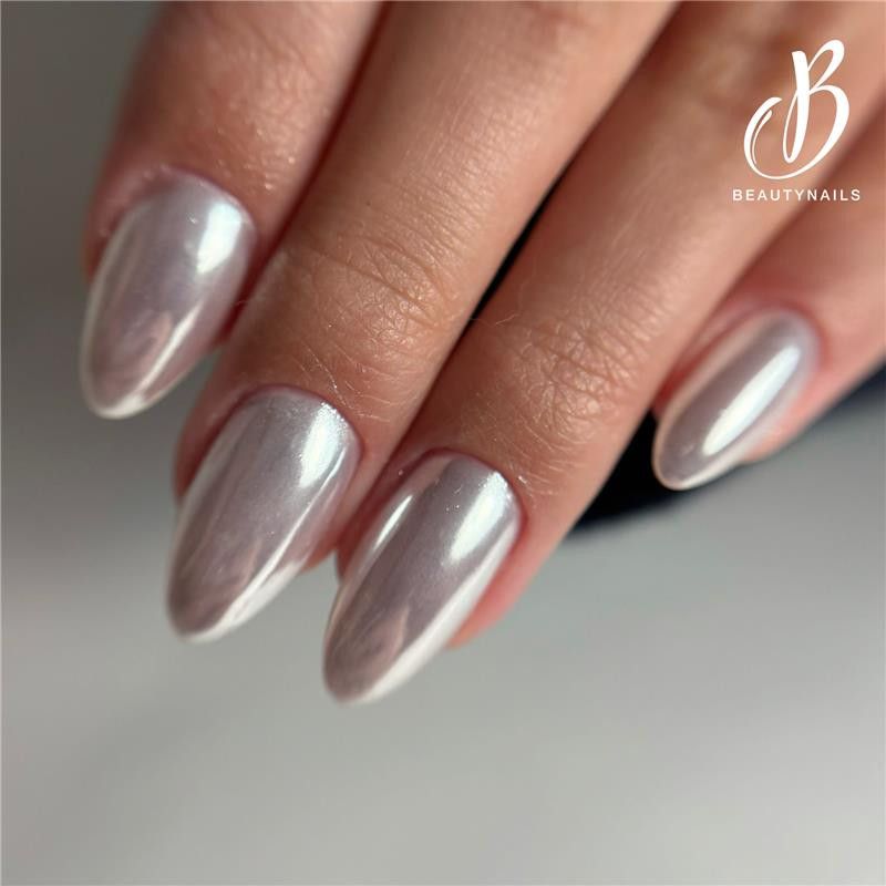 Pale Silver Visual Idea Pale Silver Visual Idea โ Winter Chrome Nails