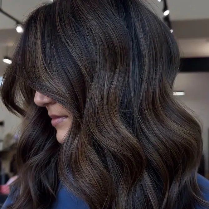 Mid-Back Dark Brown With Ash Grey Highlights — Dark Winter Hair Colors