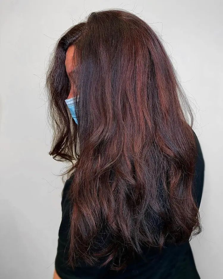 Deep Mahogany With Subtle Red Tones Visual Idea — Mahogany Hair Color