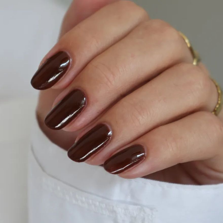 High Gloss Visual Idea — Winter Gel Nails