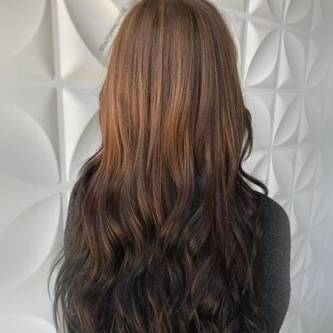 Back View Visual Idea — Winter Ombre Hair