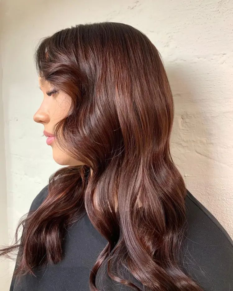 Dark Brown With Mahogany Undertones — Dark Winter Hair Colors