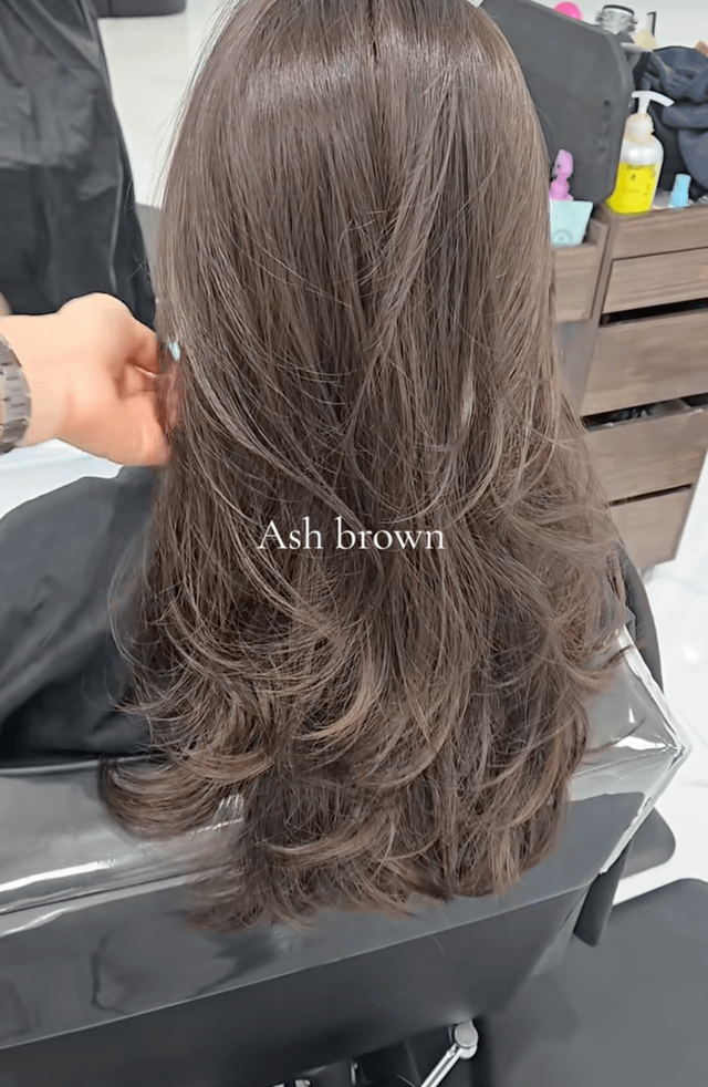 Back View Visual Idea — Ash Brown Hair