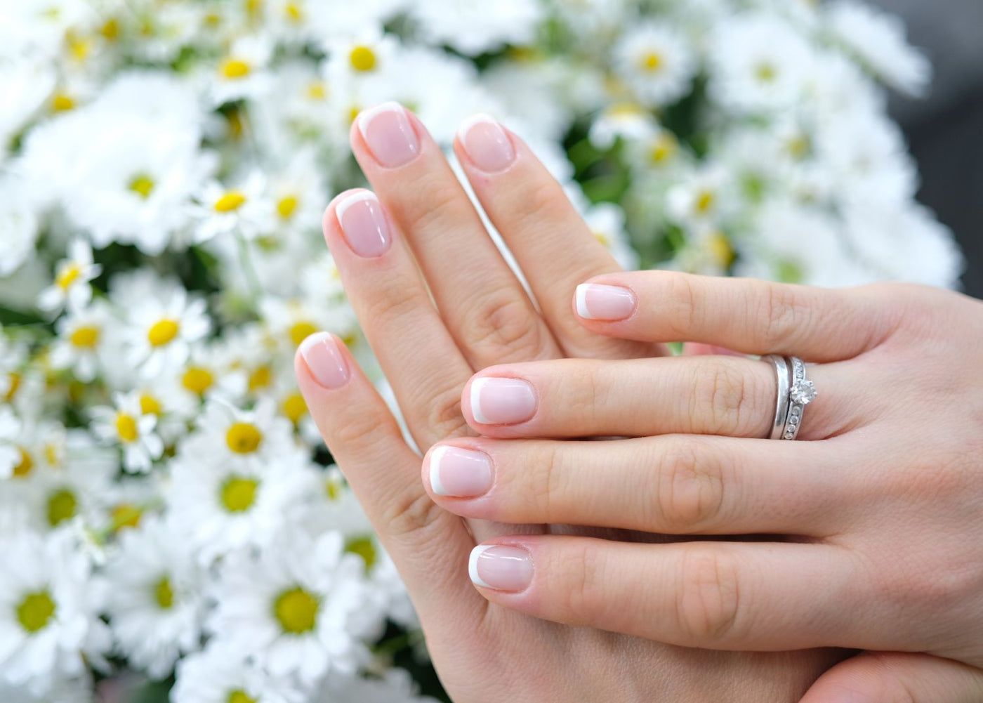 Short Square French Tips Short Square French Tips β Winter Wedding Nails