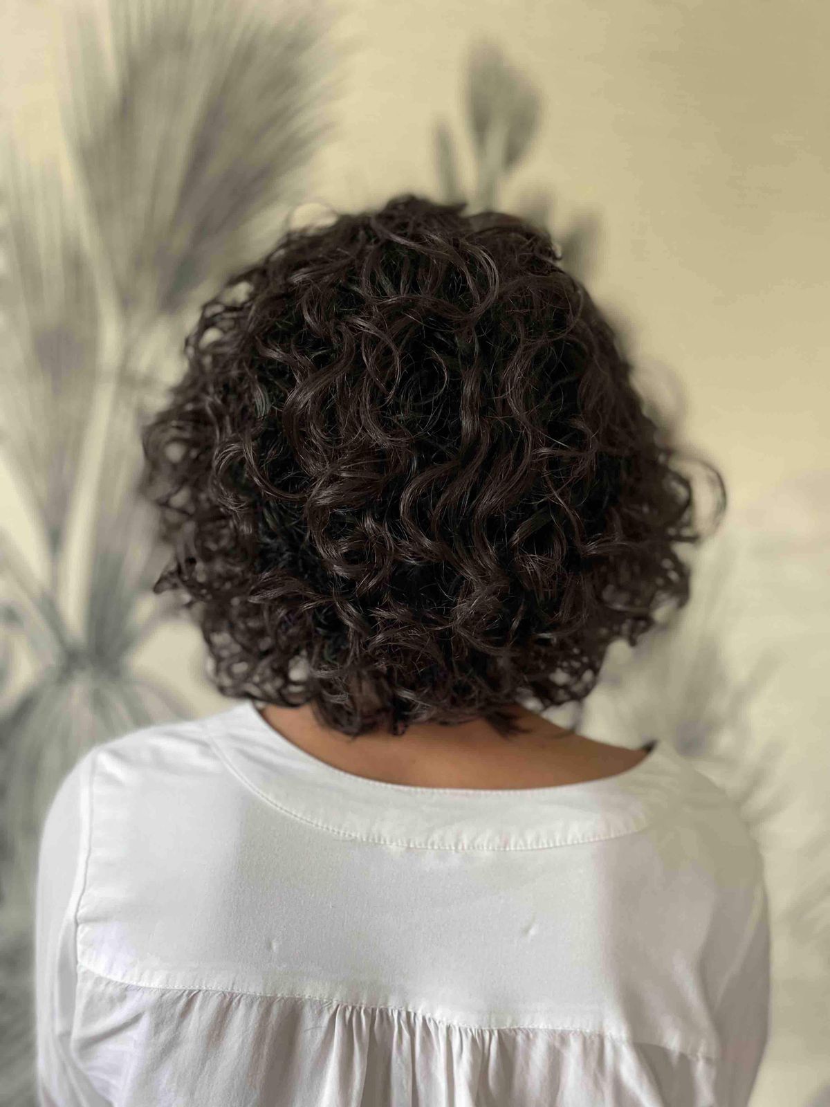 Dark Brown Collarbone Bob Back View — Winter Hairstyles for Curly Hair