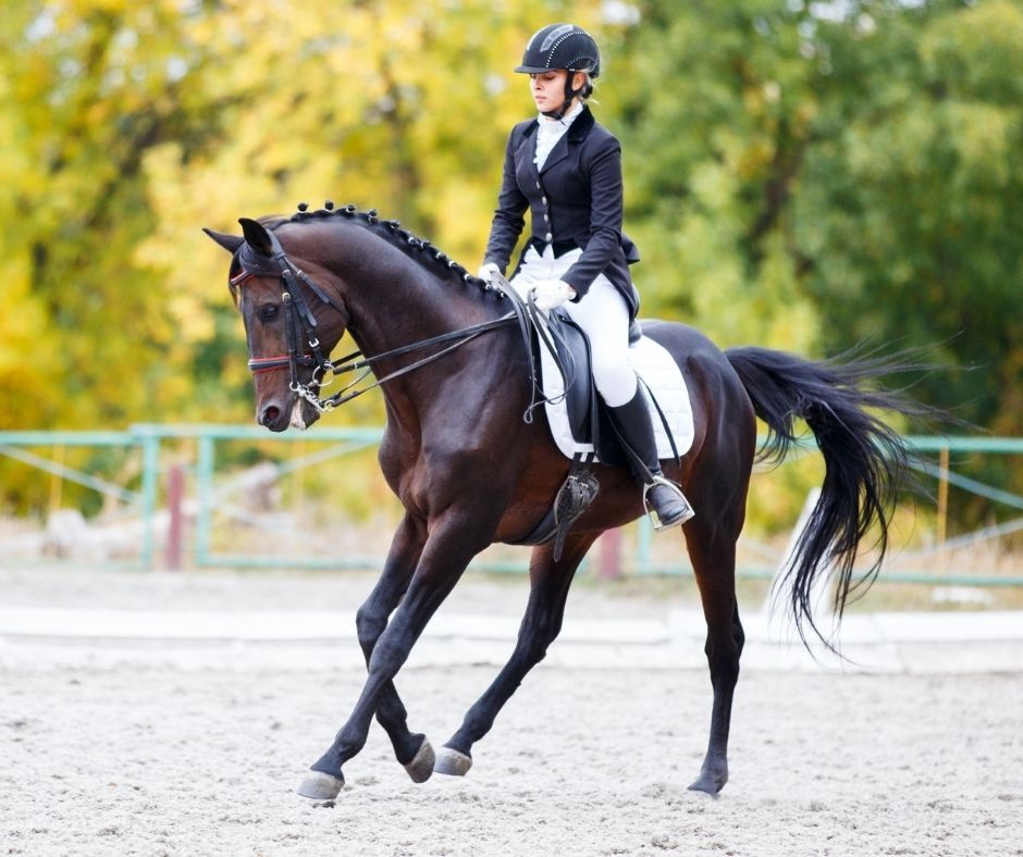 Full Equestrian Competition Attire: Boots, Breeches, and Jacket Full Equestrian Competition Attire: Boots, Breeches, and Jacket โ Riding Boots Outfits