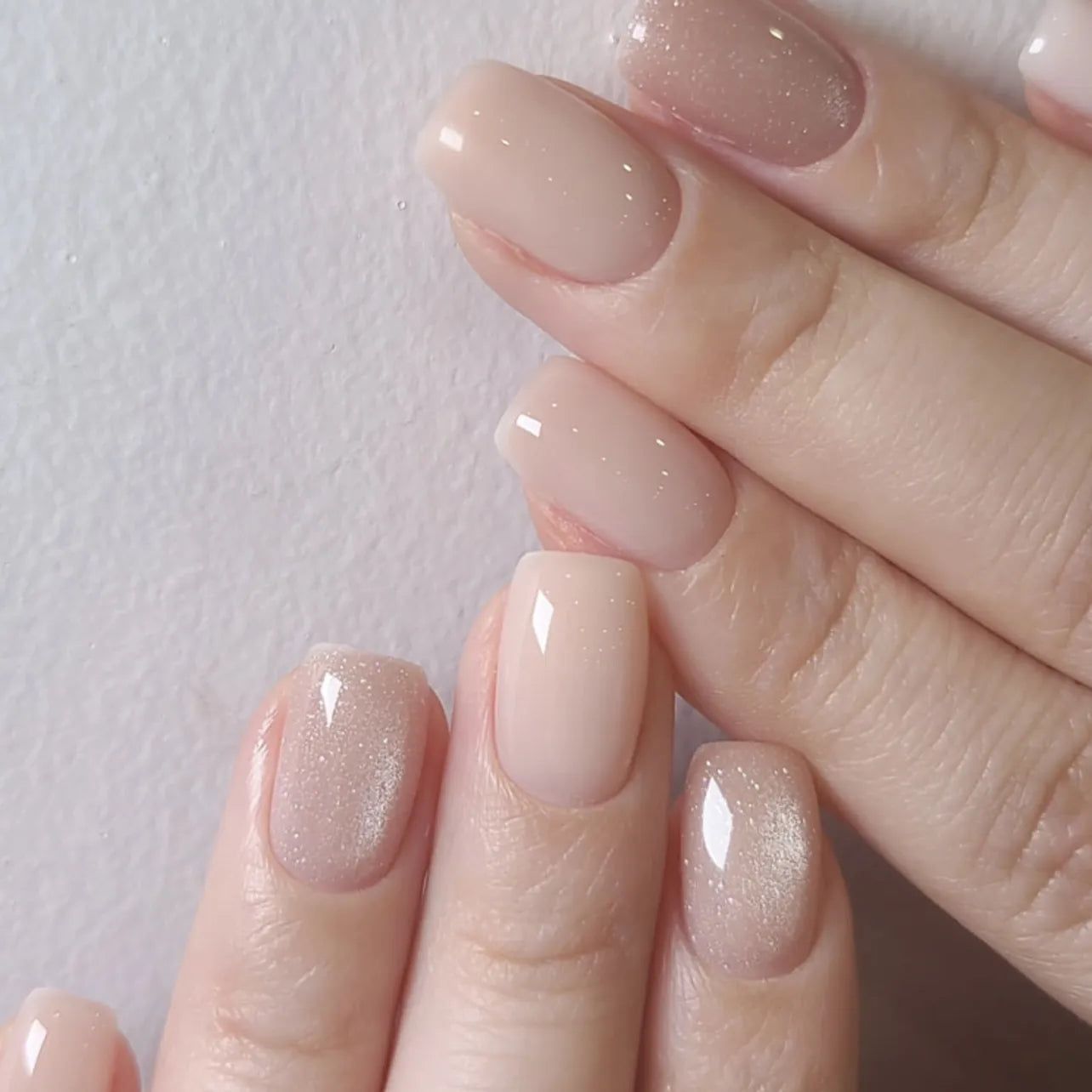 Visual Idea — Winter Nude Nails