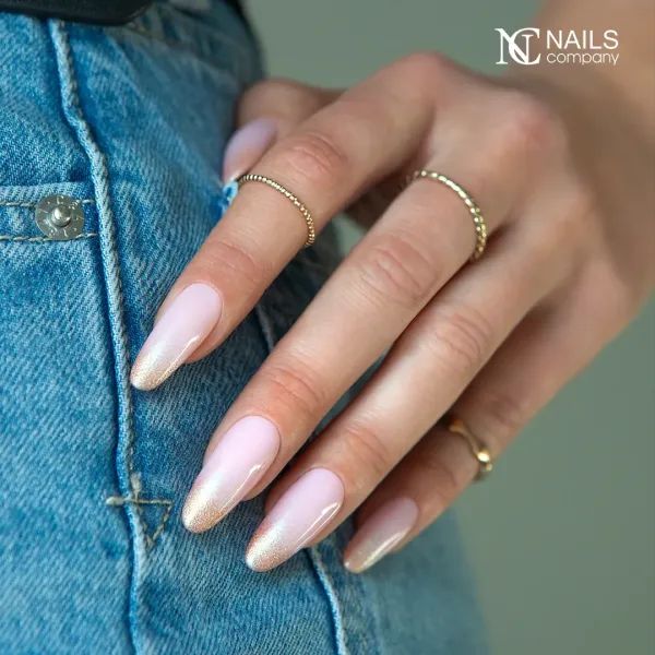 Shimmer And Glitter Visual Idea Shimmer And Glitter Visual Idea β Winter Champagne Nails