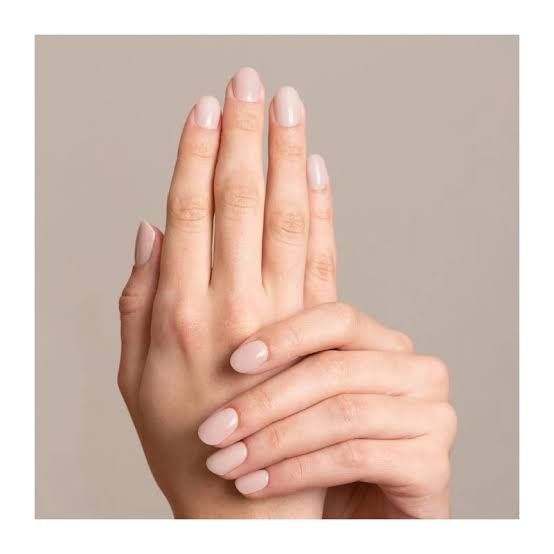 Everyday Classic Visual Idea Everyday Classic Visual Idea β Old Money Winter Nails