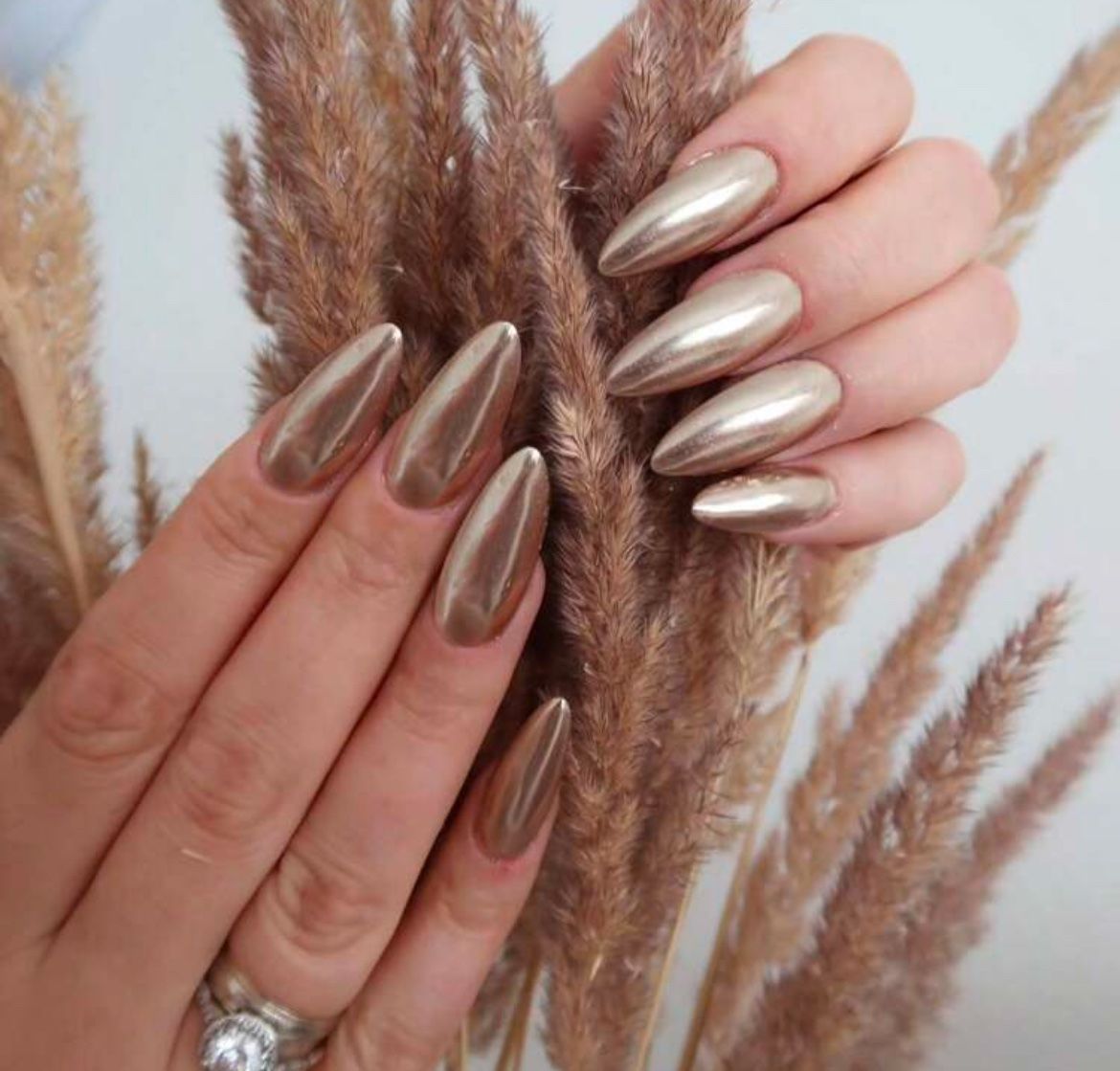 Long Stiletto Metallic Champagne Chrome Long Stiletto Metallic Champagne Chrome β Winter Champagne Nails