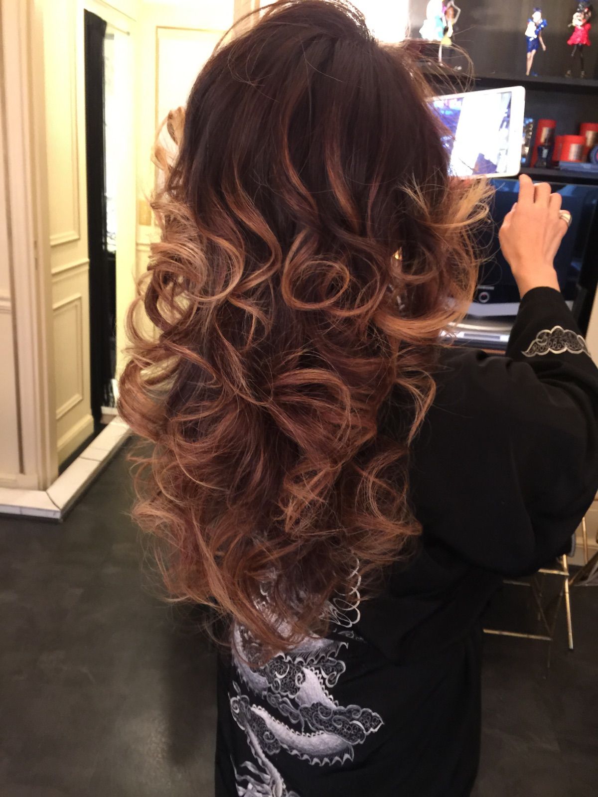 Back View Visual Idea Back View Visual Idea β Blonde to Brunette Hair