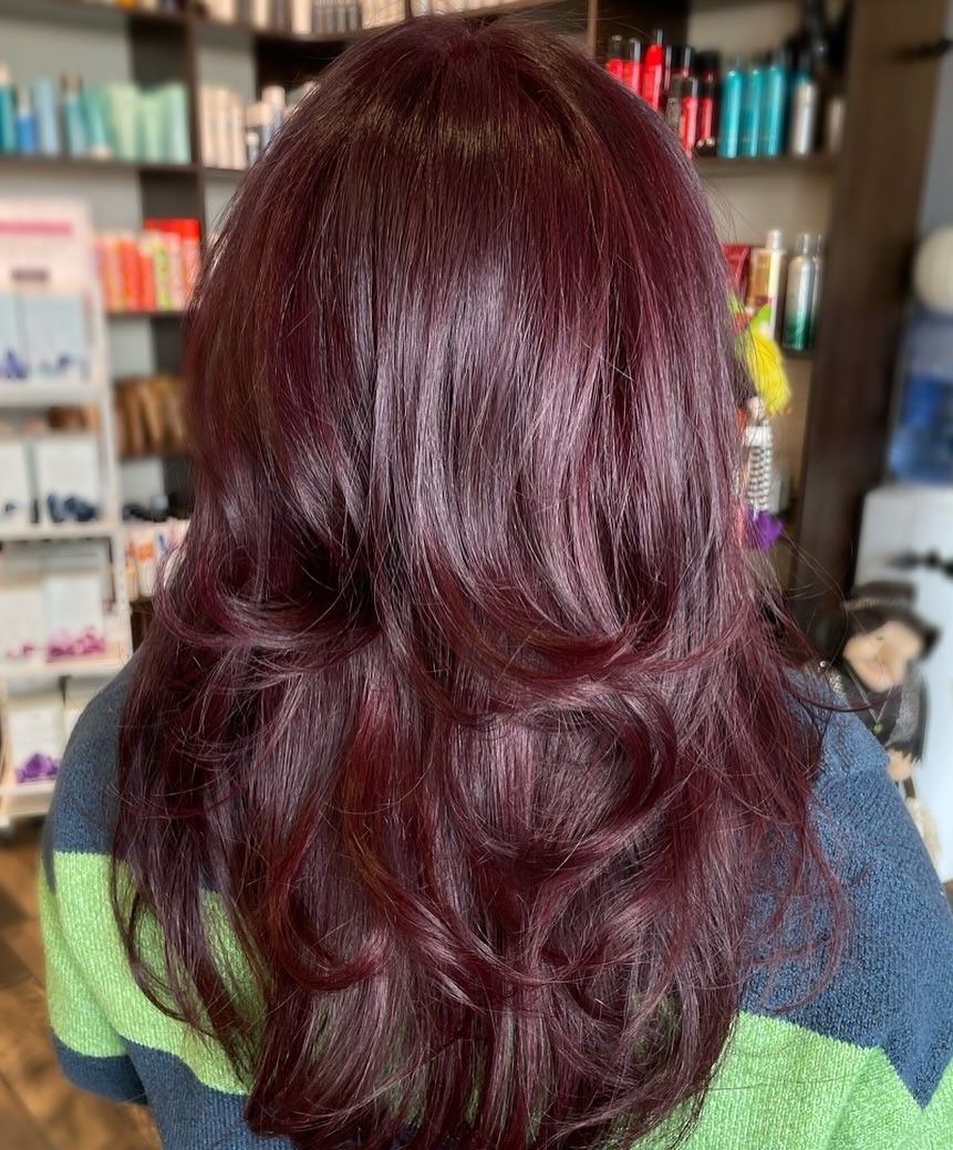 Deep Burgundy With Violet Tones Deep Burgundy With Violet Tones β Burgundy Hair Color