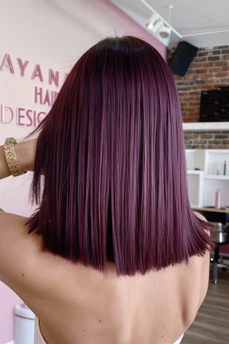 Mid-Back Visual Idea Mid-Back Visual Idea β Plum Hair Color