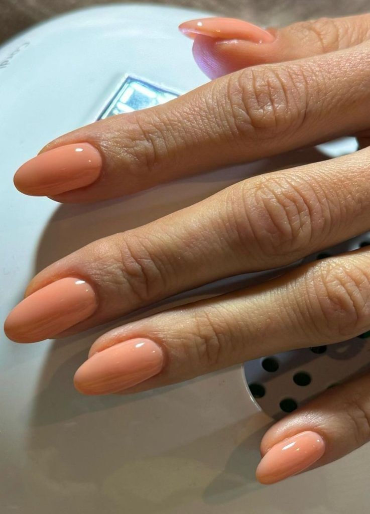 Solid Color No Art Visual Idea Solid Color No Art Visual Idea β Baddie Winter Nails