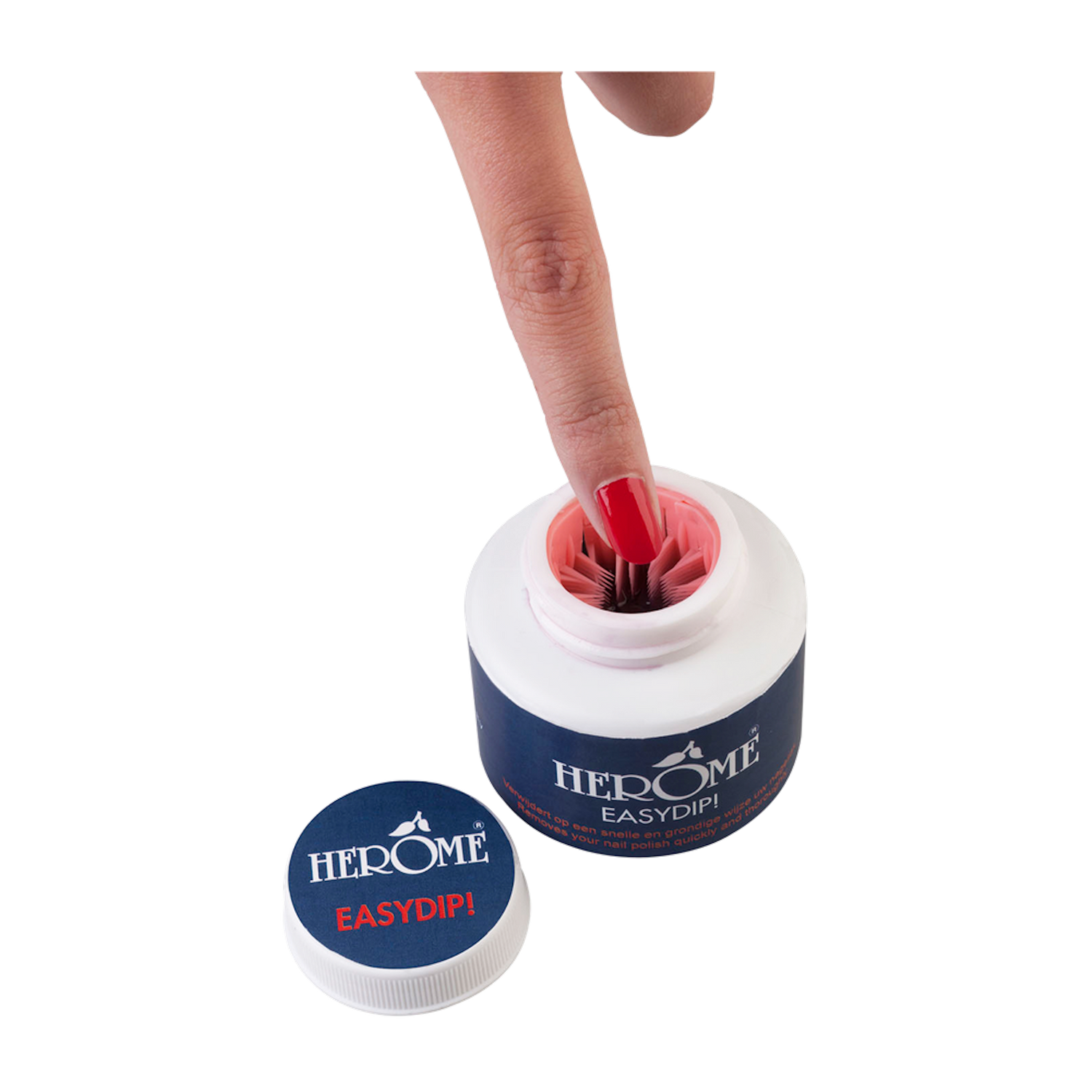 Dip Powder Application Demo — Winter Dip Powder Nails