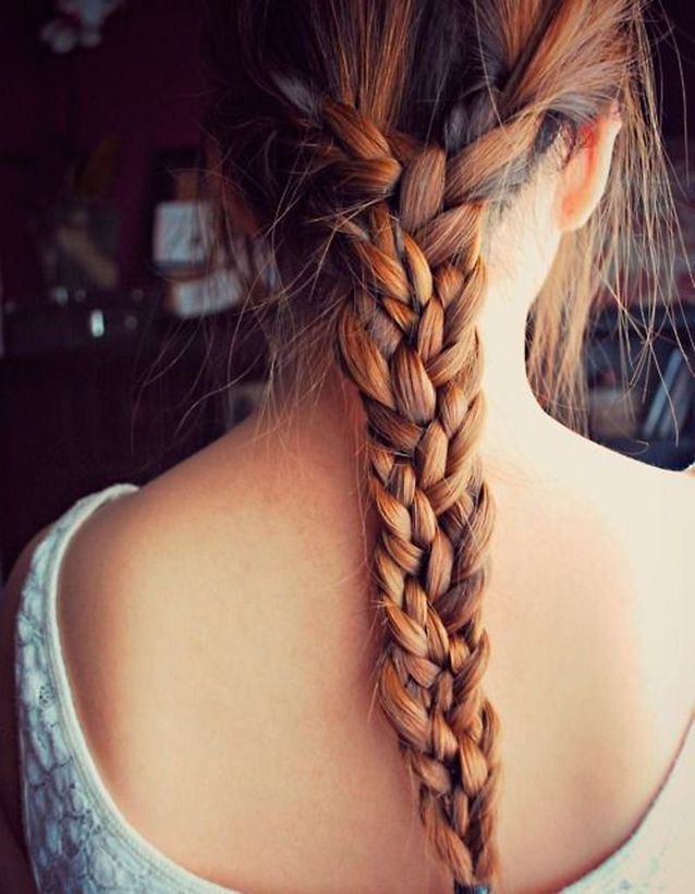 Back View Visual Idea — Winter Braided Hairstyles