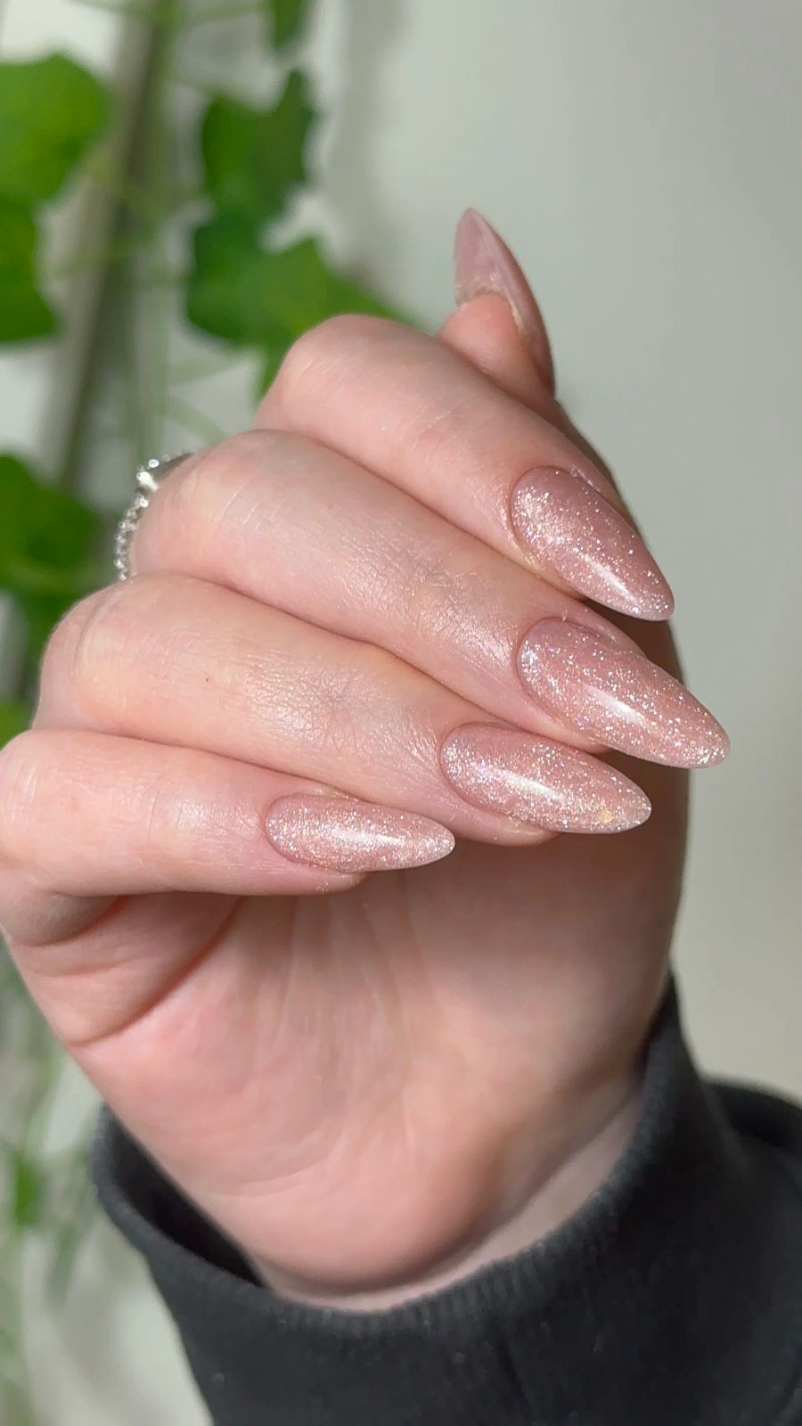 None Visual Idea None Visual Idea β Winter Champagne Nails